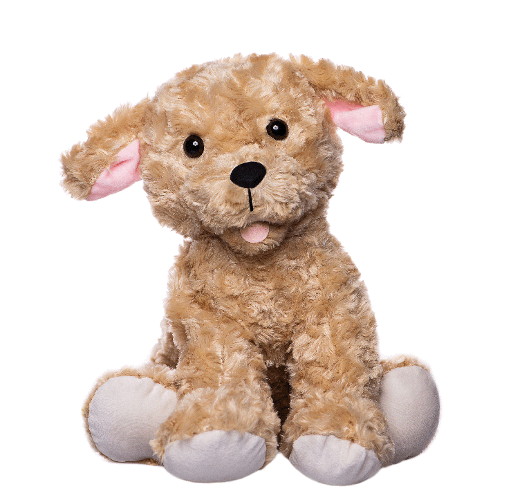 15" Tucker Labradoodle Puppy