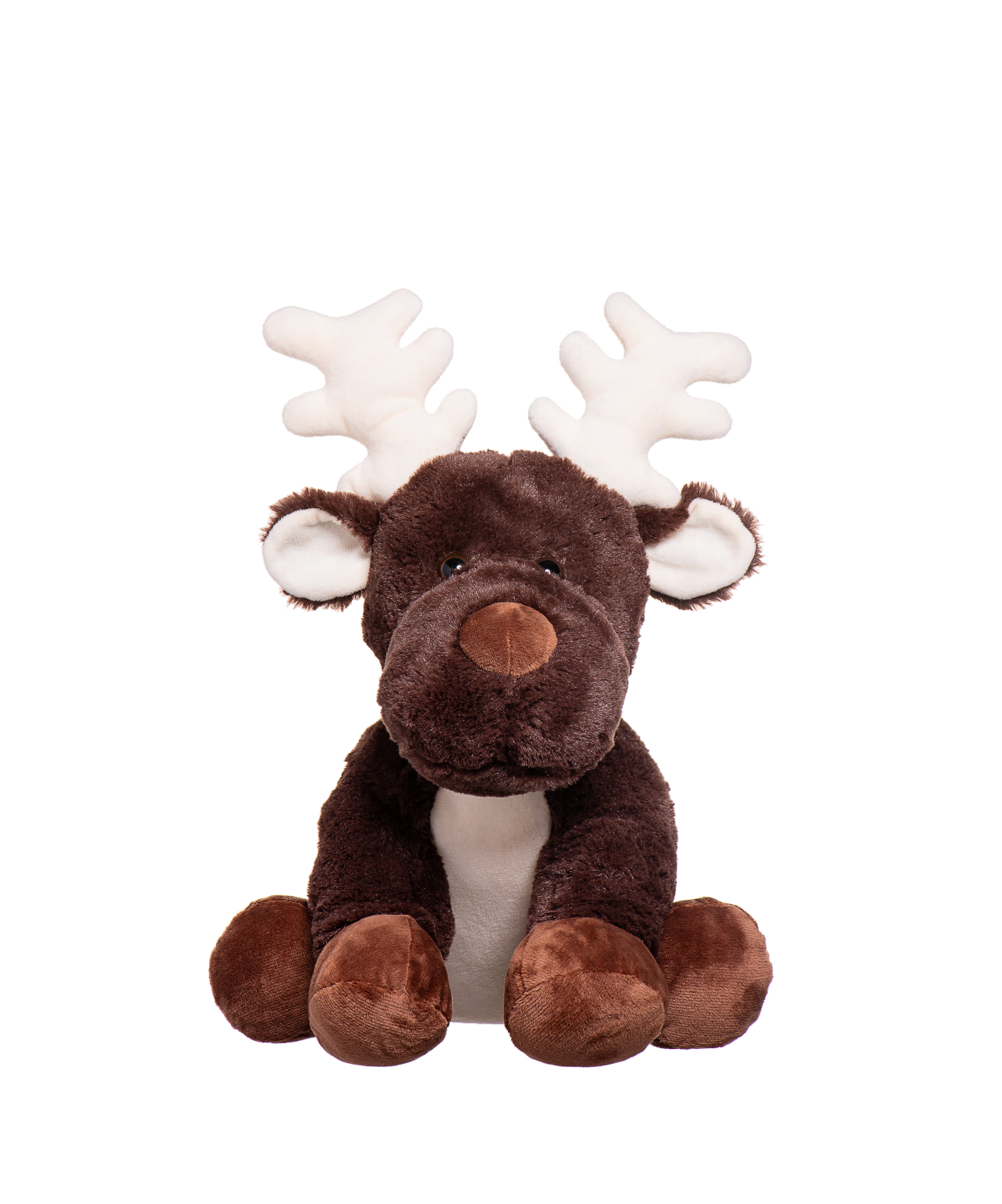 Wonder Moose | Noah's Ark Animal Workshop