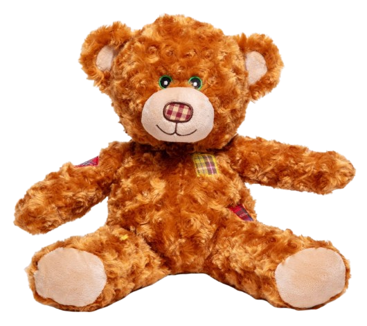 15″ Scarecrow Teddy