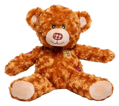 15″ Scarecrow Teddy