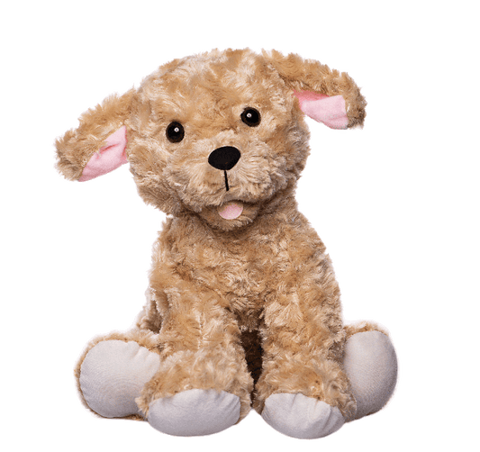 15" Tucker Labradoodle Puppy